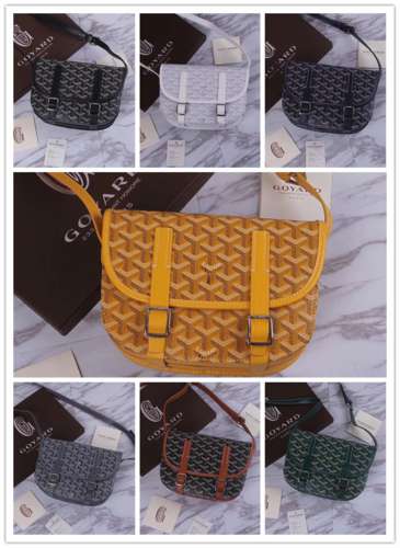 Picture of Goyard Lady Handbags _SKUfw99888360fw